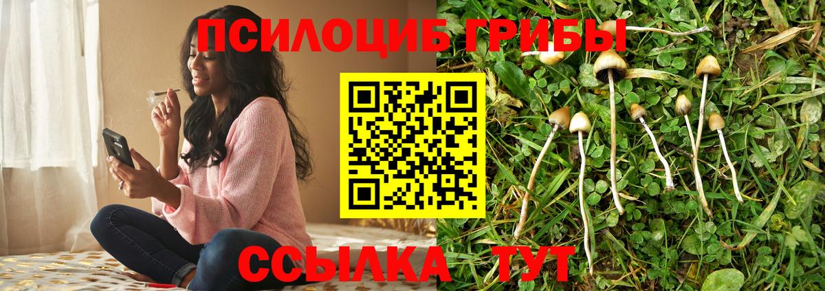 Псилоцибиновые грибы мицелий Серов